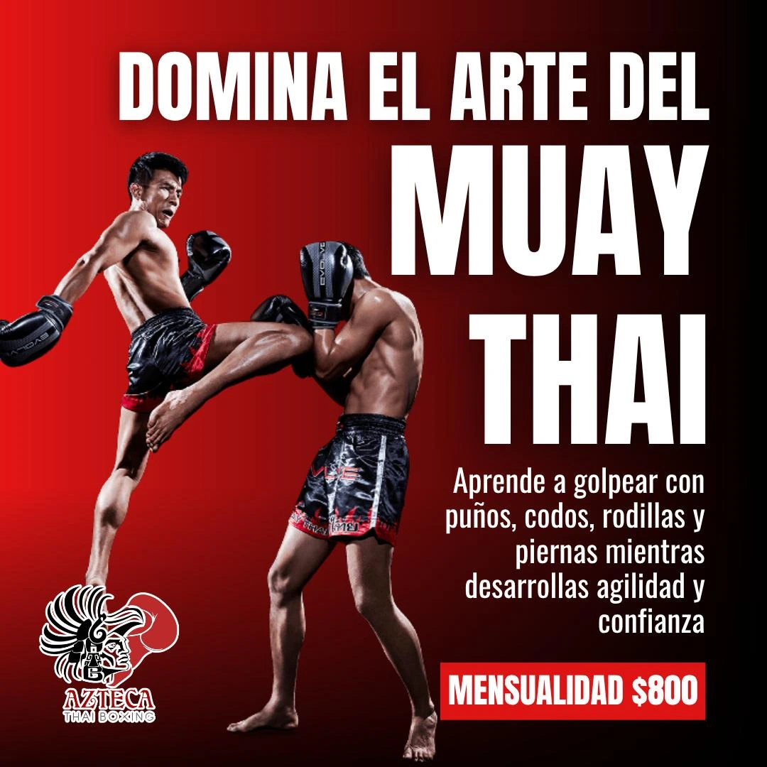 Entrenamiento de Muay Thai